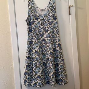 Blue and white rose dress